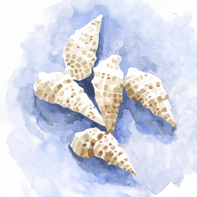 Shell Impressions I