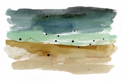 Shoreline Strokes II