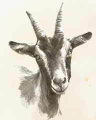 Sketched Farm Portraits II