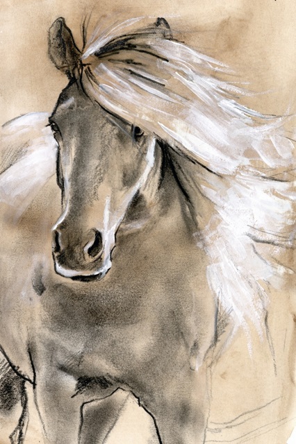 Sketched Horse I