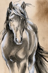 Sketched Horse II