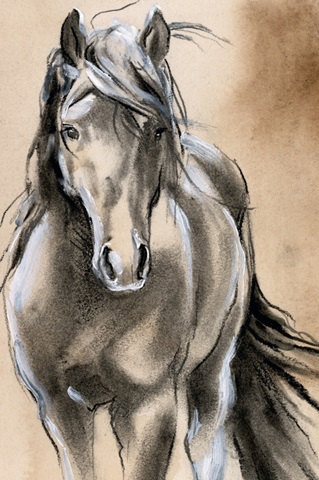 Sketched Horse II
