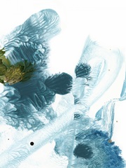 Stardust Abstract II