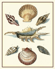 Studies in Symmetry I