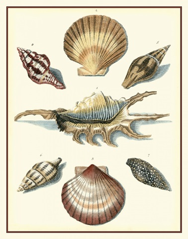 Studies in Symmetry I