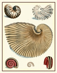 Studies in Symmetry II