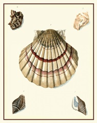 Studies in Symmetry III