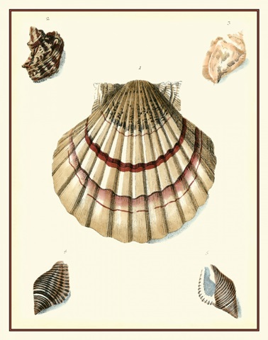 Studies in Symmetry III
