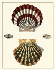 Studies in Symmetry IV