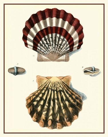 Studies in Symmetry IV