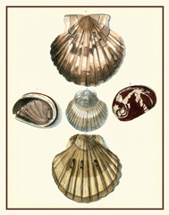 Studies in Symmetry V