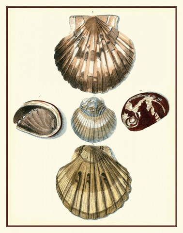 Studies in Symmetry V