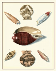 Studies in Symmetry VI