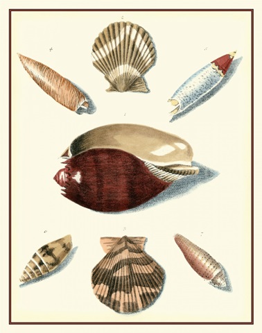 Studies in Symmetry VI