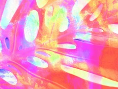 Summer Cheerfulness I