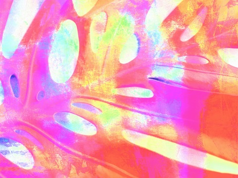 Summer Cheerfulness I