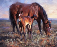 The Bay Filly