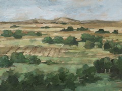 Valley Fields II