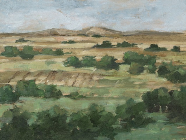 Valley Fields II