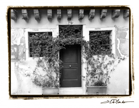 Venetian Doorways V