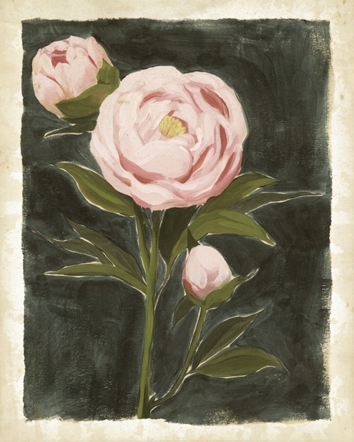 Vintage Peonies I