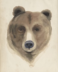 Watercolor Animal Study VI