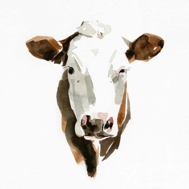 Watercolor Bovine III