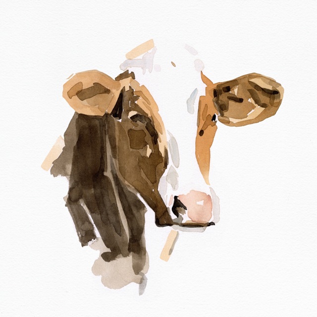 Watercolor Bovine IV