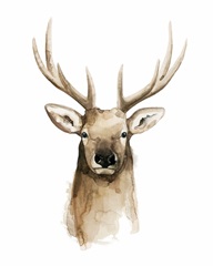 Watercolor Elk Portrait II