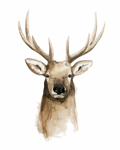 Watercolor Elk Portrait II