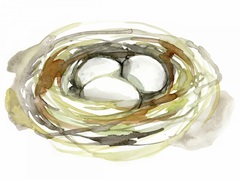 Watercolor Nest I