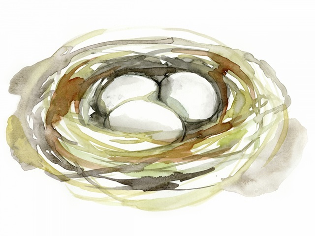 Watercolor Nest I