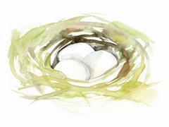 Watercolor Nest II