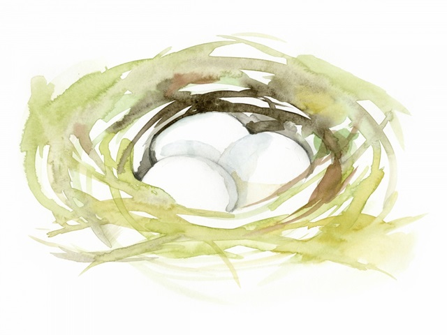 Watercolor Nest II
