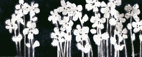 White Flowers on Black I
