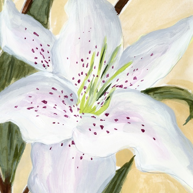 White Lily I