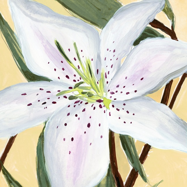 White Lily II