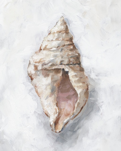 White Shell Study III