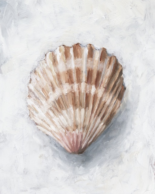 White Shell Study IV