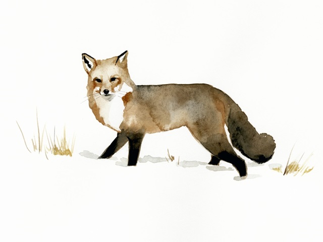 Winter Fox II