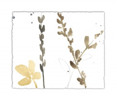 Branch Contours VIII