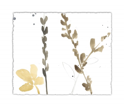 Branch Contours VIII