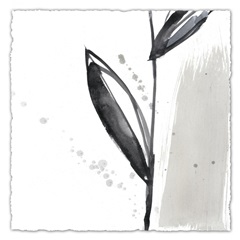 Blush Flower Splash IV