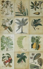 Botanical Sampler I