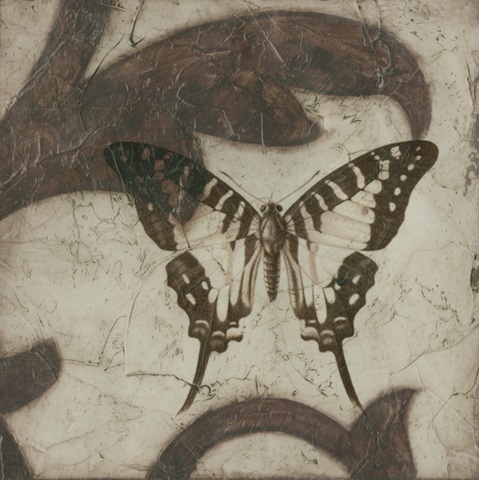 Embellished Scroll 9-Patch VI