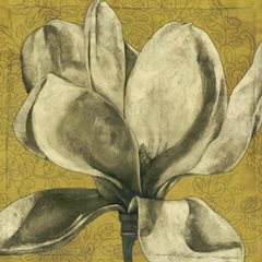 Ecru Magnolia I