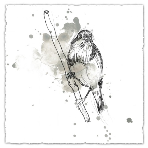 Gestural Bird Study III