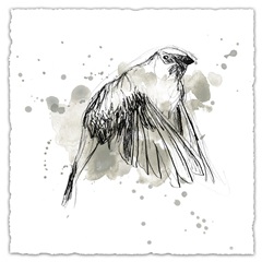 Gestural Bird Study IV