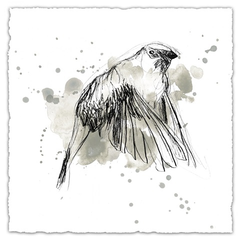 Gestural Bird Study IV