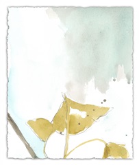 Ginkgo on Dusty Teal III